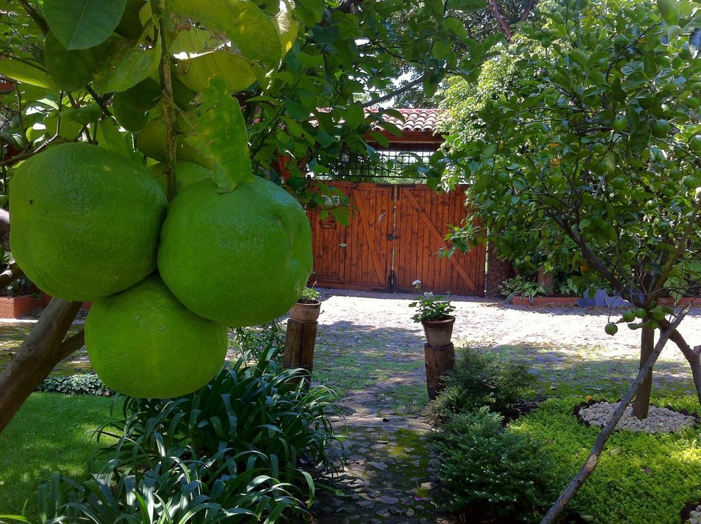 Casa Navacoyan Bed and Breakfast Malinalco Exterior foto